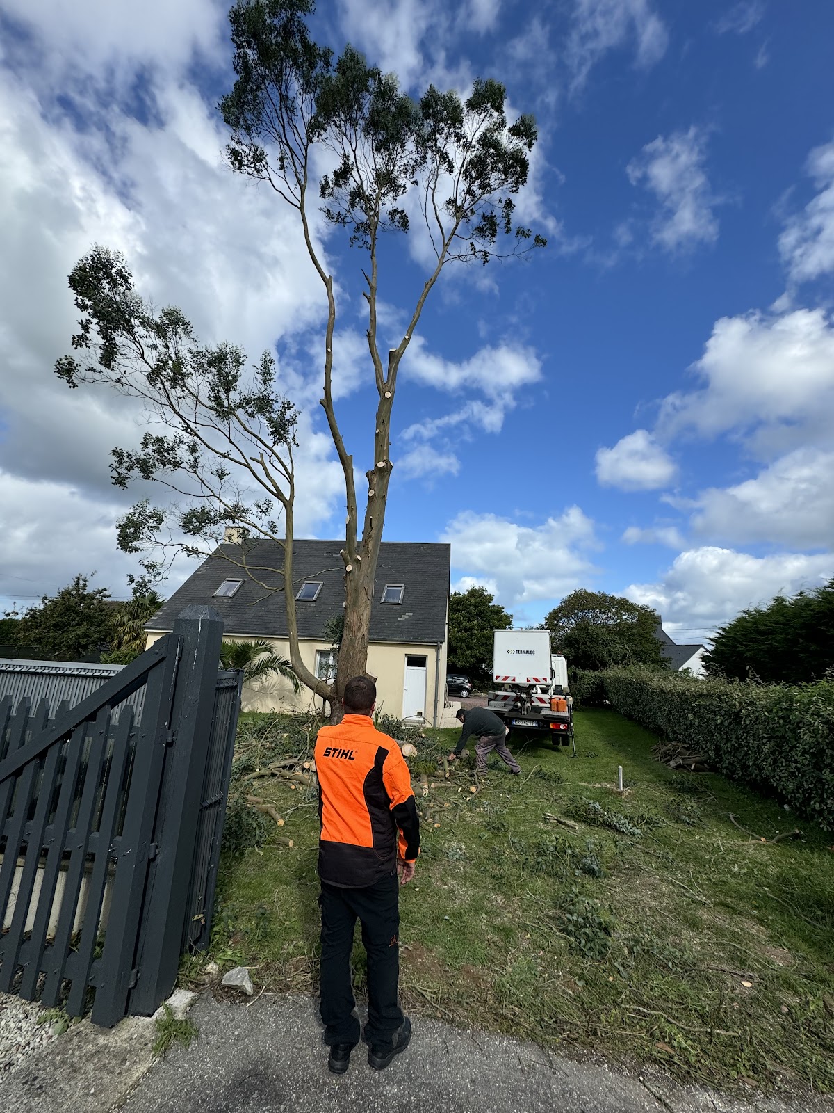 67bf11a92d36b8c6e85117d5